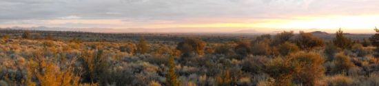 The Painted Desert