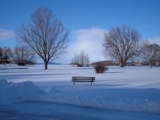 Snow at Moore Park