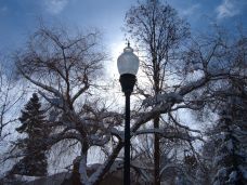 Snow and Street Light
