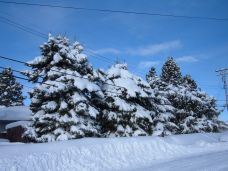 A Klamath Falls Winter