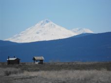 Mt. Shasta