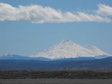 Mt. Shasta